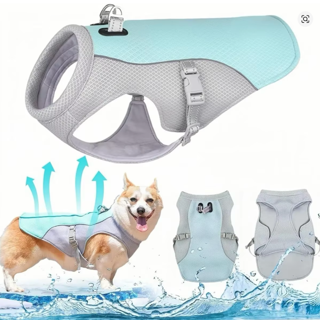 Gilet rafraîchissant pour chien