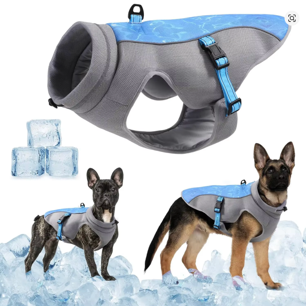 Gilet rafraîchissant pour chien